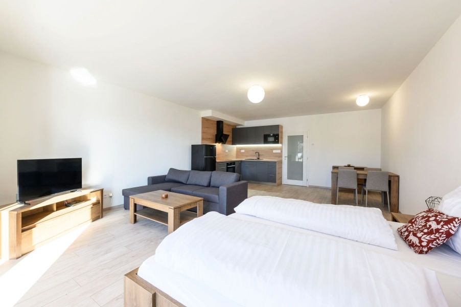 Apartmány Javorská v Železné Rudě - interiéry